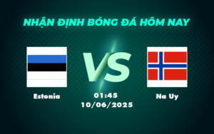 estonia na uy 10 06 vong loai world cup khu vuc chau au